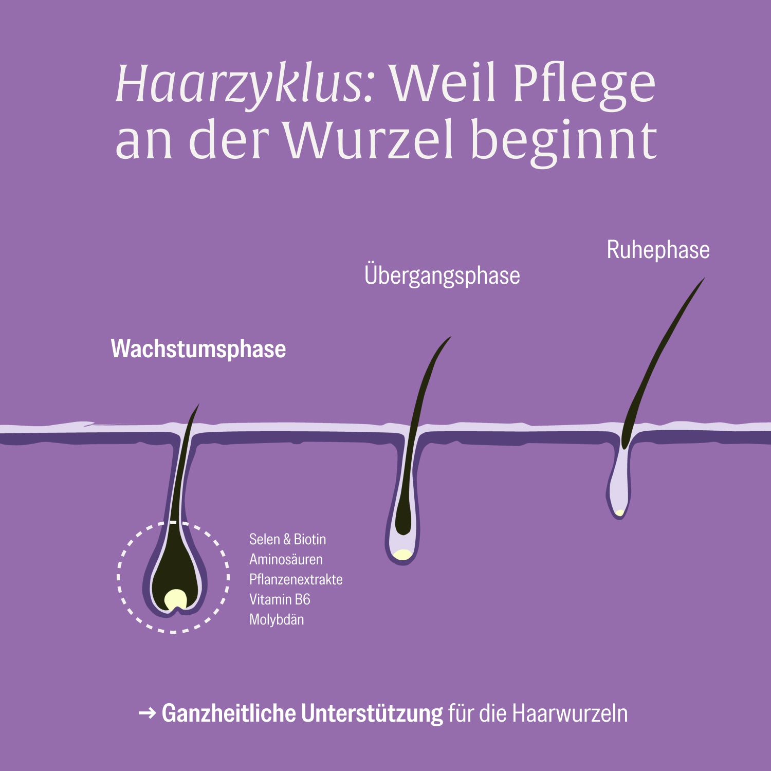 naturtreu-rapunzelm-hne-haarwurzel-komplex-kapseln image 7