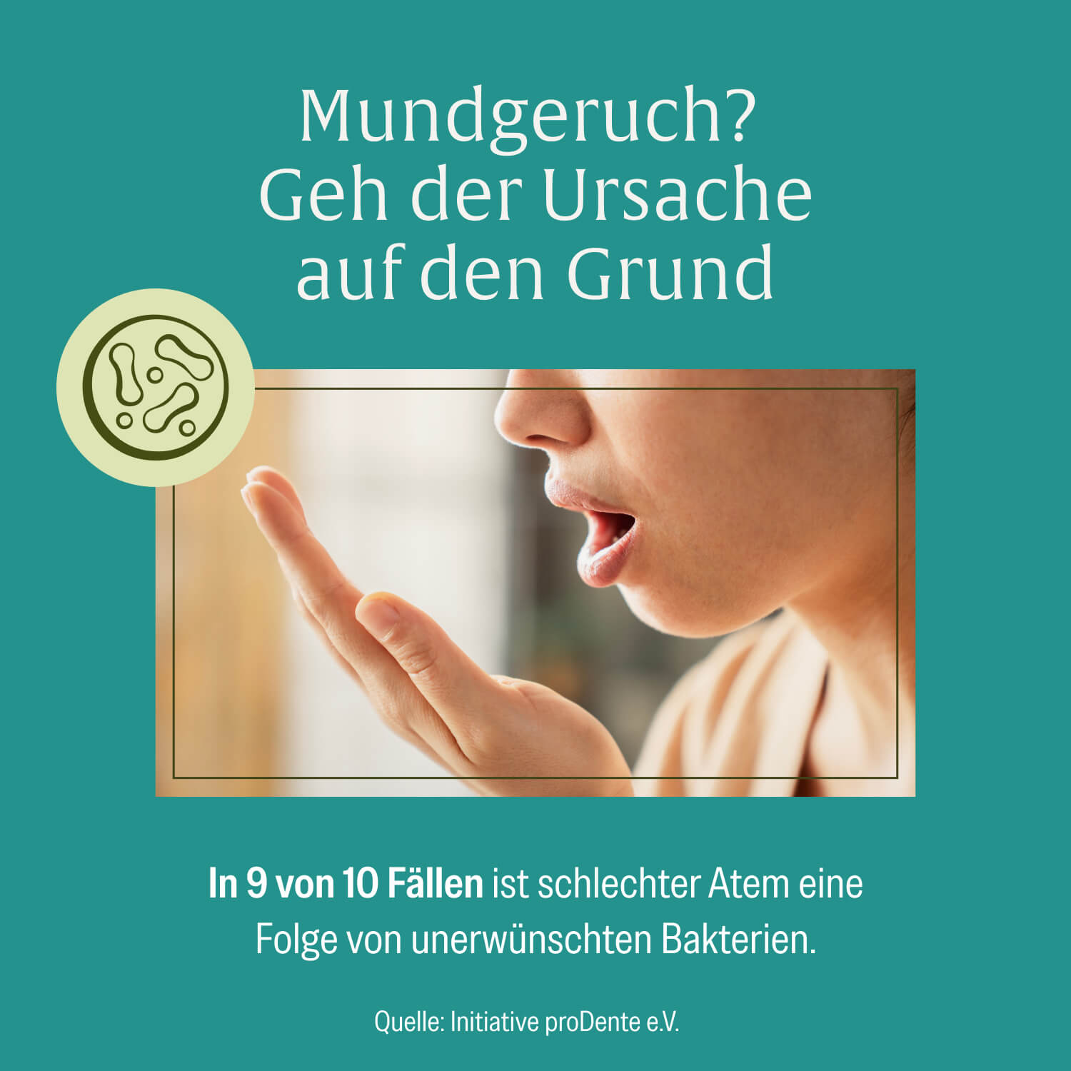 naturtreu-minzbrise-lutschpastillen-mit-milchs-urebakterien-minze-xylit image 8