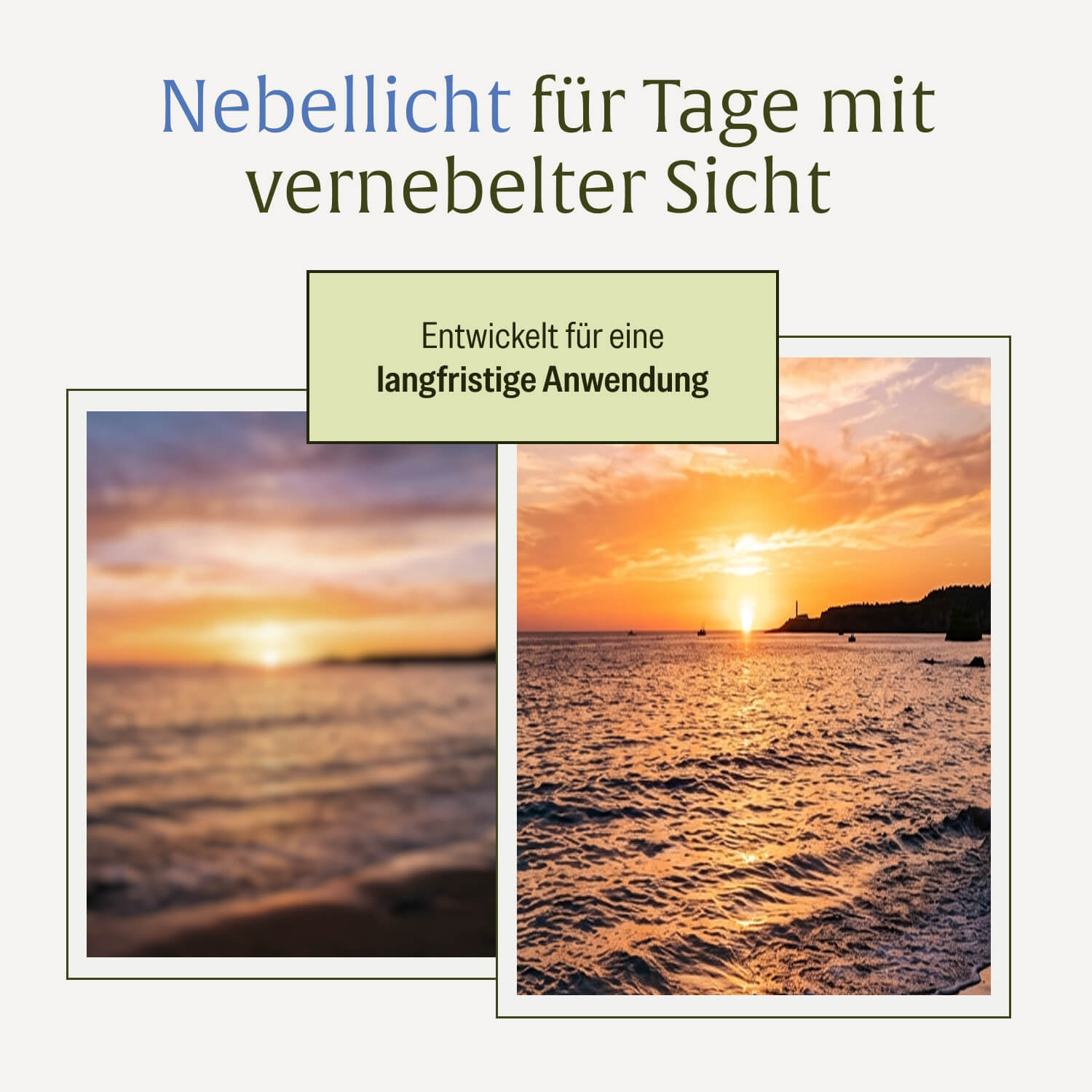 naturtreu-nebellicht-mutterkraut-kapseln-mit-magnesium-ingwer-q10 image 8