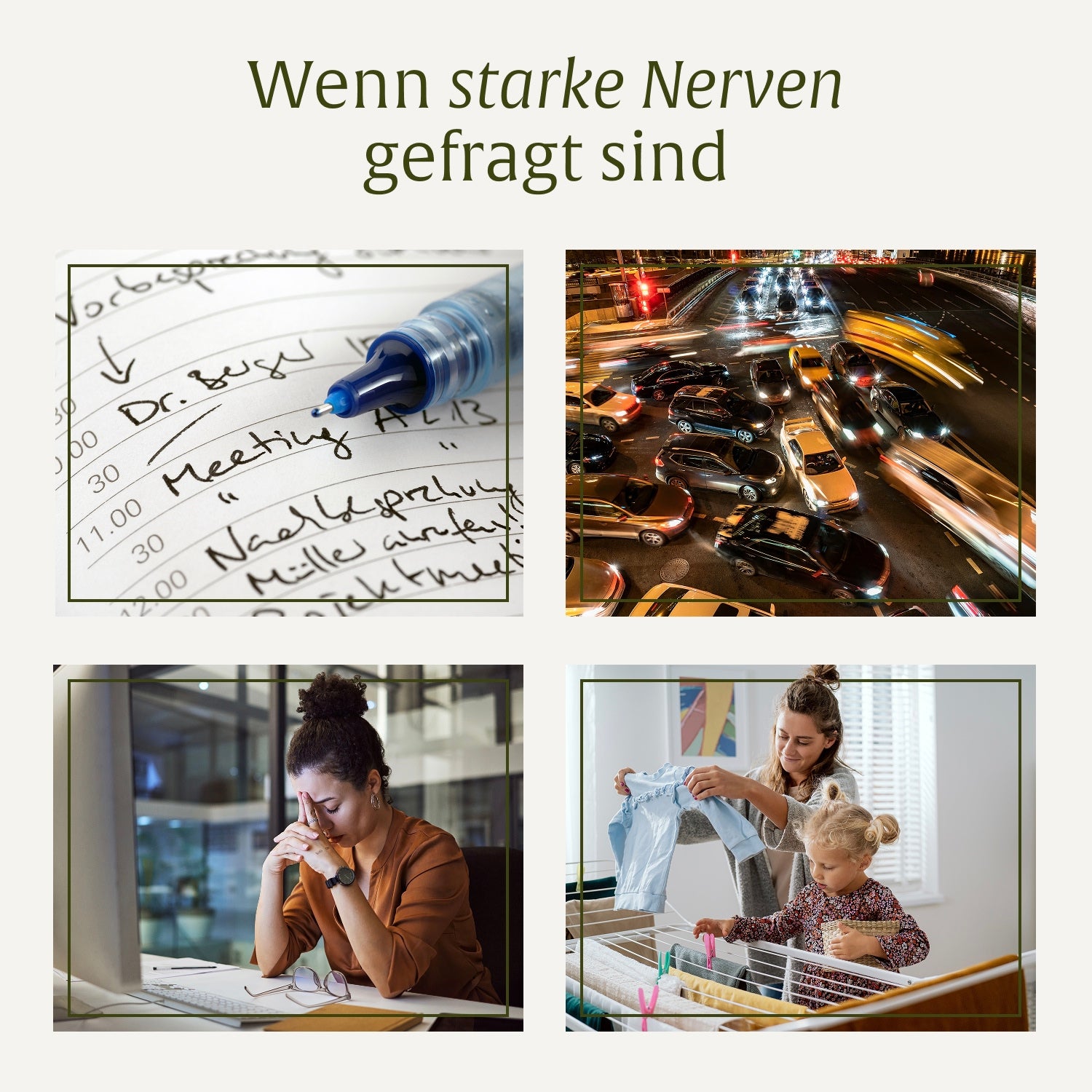 naturtreu-starke-nerven-sparpaket-kraftreserve-nervenstark image 5