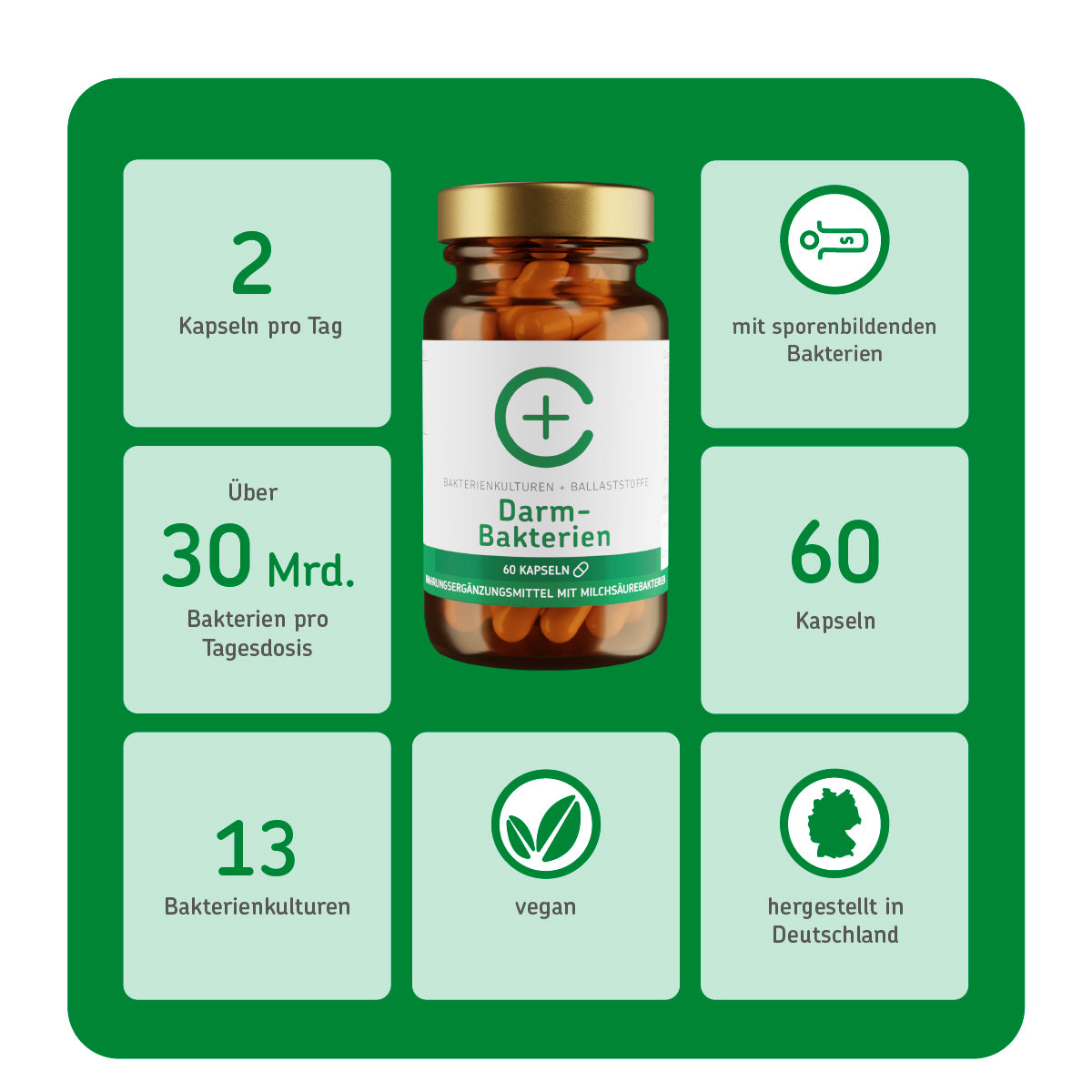 cerascreen-vital-darmgesundheits-set-test-kapseln image 4